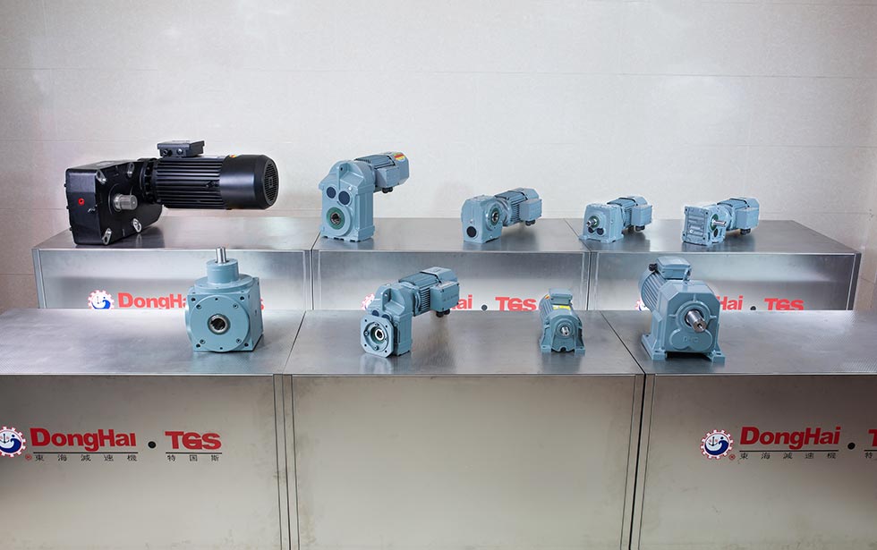 Other Cusomized Gear Motor